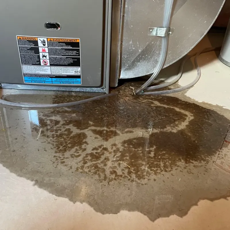 Appliance Leak Cleanup in Falmouth, KY